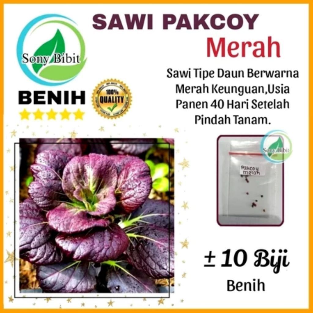 Benih Pakcoy Ungu Pakcoy Unik Kemasan Ekonomis