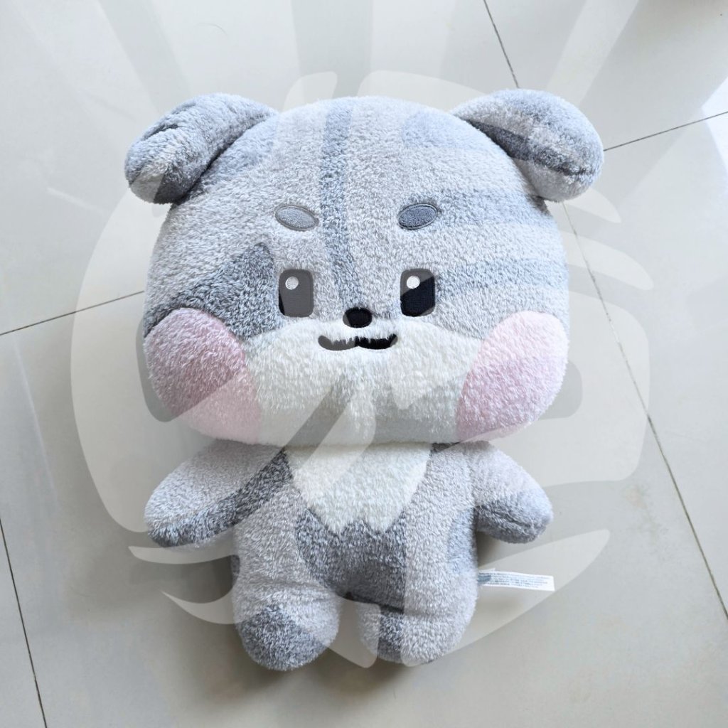 [READY SECONDHAND] Zerobaseone ZB1 Zeroni Line Friends Gunini Gunwook Flat Cushion Doll Preloved