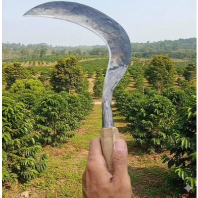 Sabit Arit Rumput Baja Asli /Pemangkas Rumput Multifungsi / Sabit Ranting Pohon Sabit Rumput Arit Pa