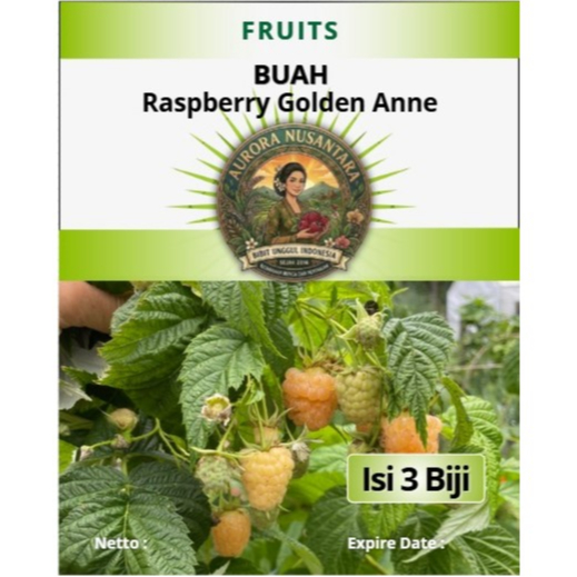 Bibit Unggul Raspberry Golden Anne | Biji Benih Raspberry Golden Anne | Raspberry Kuning