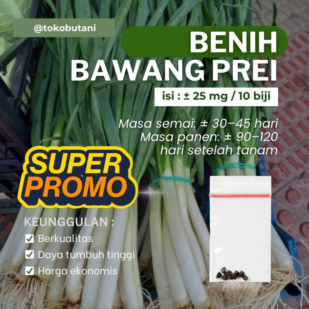 Benih Bawang Prei Bibit Bawang Prei 10 Biji 90 Hari Panen