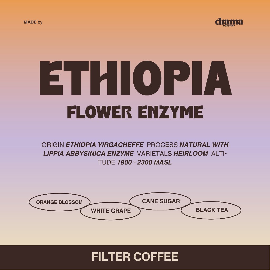 Ethiopia Flower Enzyme Single Origin Filter Coffee