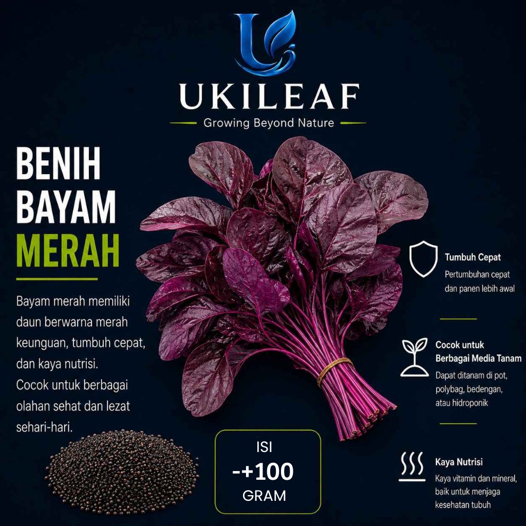 ( 100 Gram ) Benih Biji Bayam Merah | Bayam Cina | Red Amaranth | UKILEAF