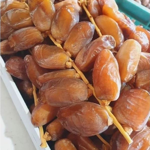 Kurma tangkai 2kg /kurma tunisia tangkai/kurma segar