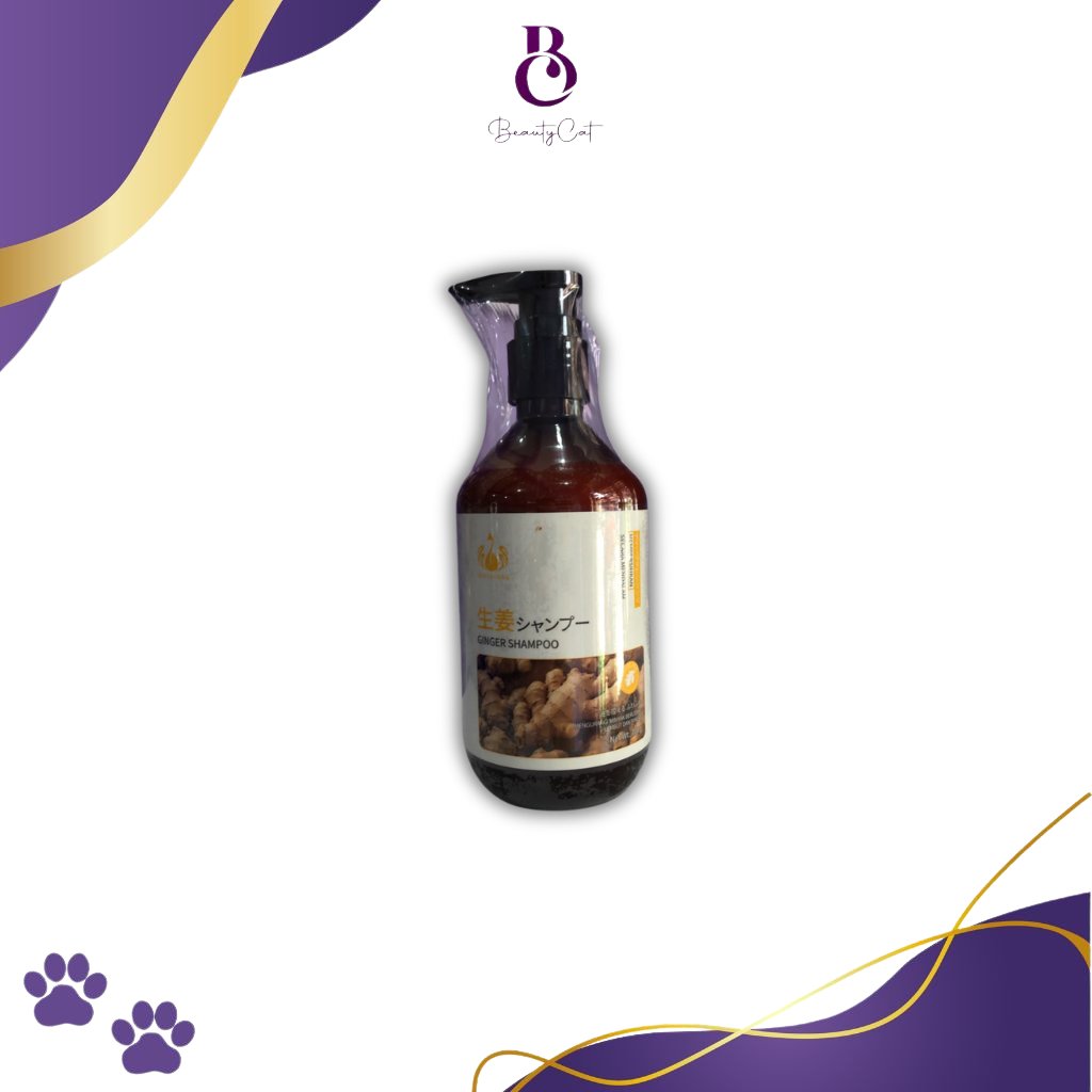 WEISCASA GINGER SHAMPOO