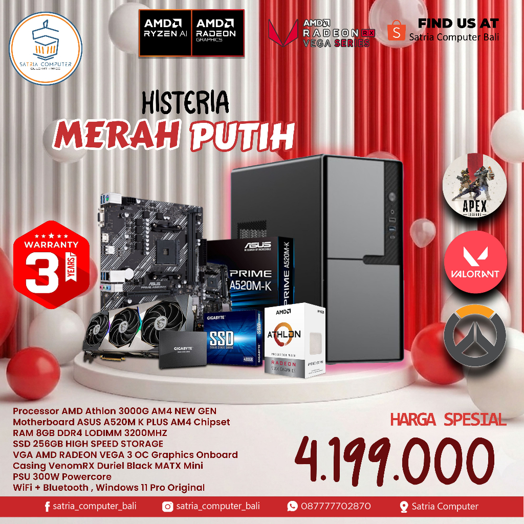 Komputer / PC Gaming AMD Athlon 3000G AM4 8GB 256GB Windows 11 Pro