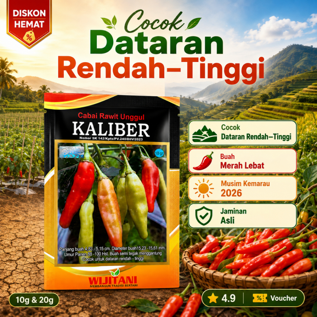 Benih Cabe Rawit KALIBER 20g Original Wijitani – Bibit Cabe Kaliber Produktif Toleran Virus, Buah Le