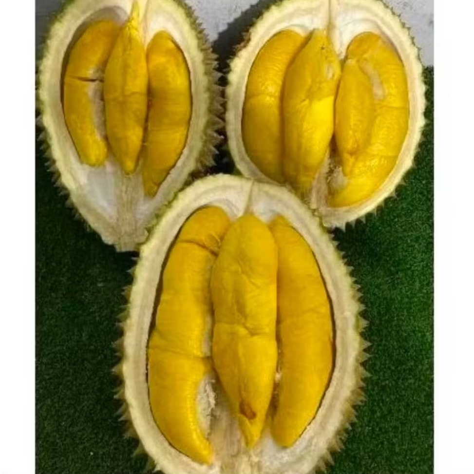 Durian Musang King Asli Malaysia Super Jumbo Utuh