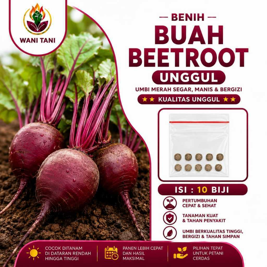 Benih Buah Bit Super Unggul Bibit Bit Merah Benih Tanaman Sayuran Buah Bit