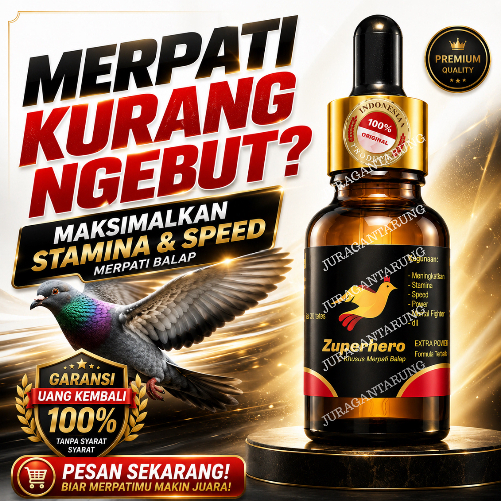 [REKOR TERCEPAT],Doping Merpati,Doping Merpati Balap Sprint,Doping Merpati kolong,ZUPERHERO