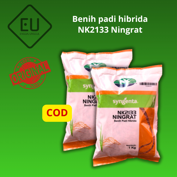 Benih padi hibrida Ningrat NK2133 original Syngenta - 1 Kg
