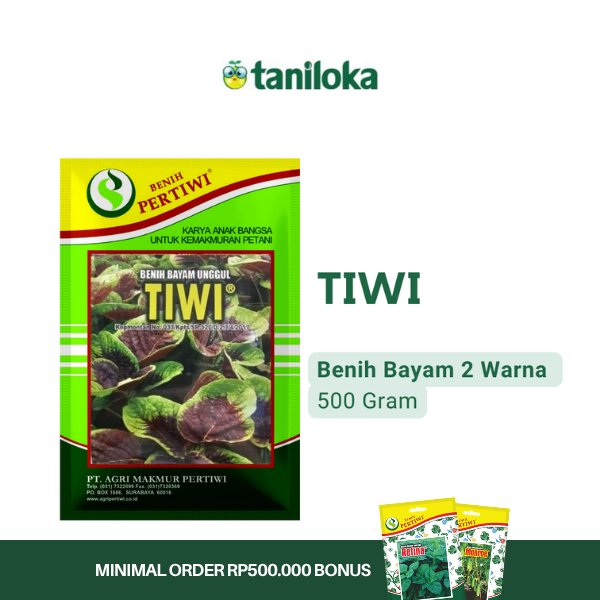Benih Pertiwi - Benih Bayam Tiwi (500 Gram)