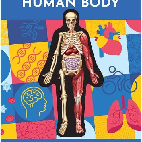 Inside Out Human Body: Explore the World's Most Amazing Machine-You (Alfabetbooks)