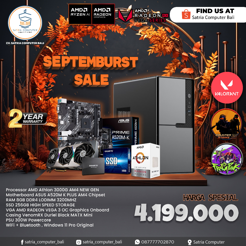 Rakitan Komputer / PC Gaming AMD Athlon 3000G AM4 8GB 256GB Windows 11 Pro