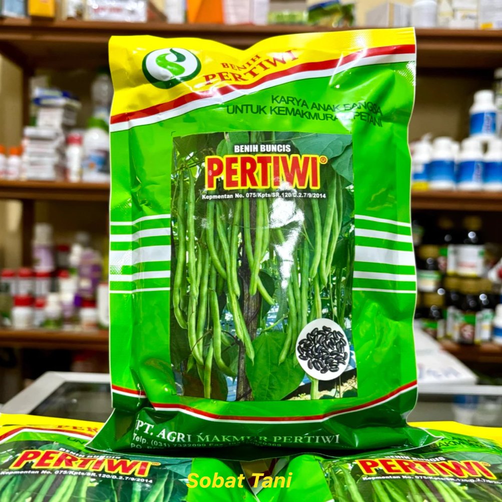 Benih Buncis PERTIWI 500 Gram - Bibit Buncis Unggul Pertiwi 500 Gram