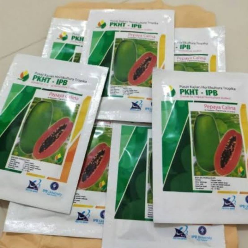 PROMO BENIH PEPAYA CALINA CALIFORNIA IPB PKHT IPB (BISA COD)