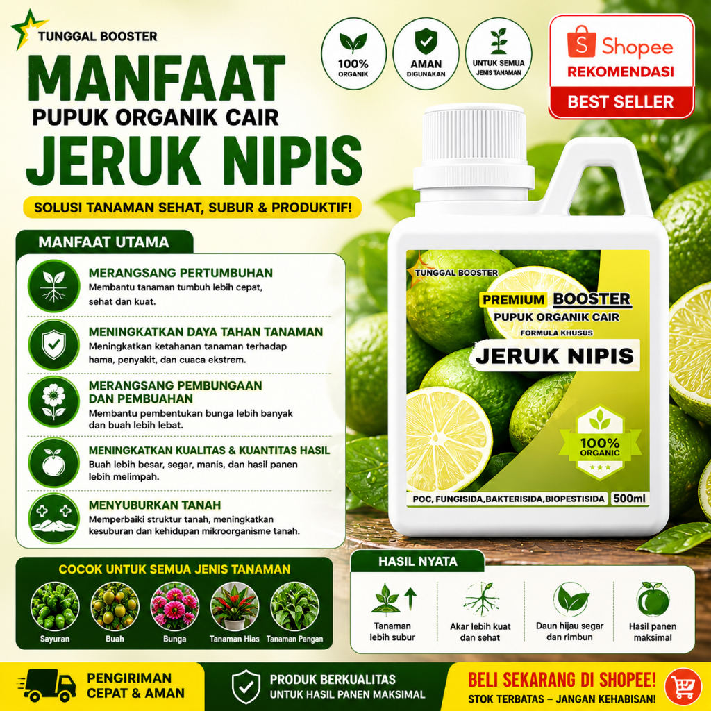 pupuk organik cair tanaman jeruk nipis, pelebat buah jeruk nipis,pupuk perangsang pembuahan
