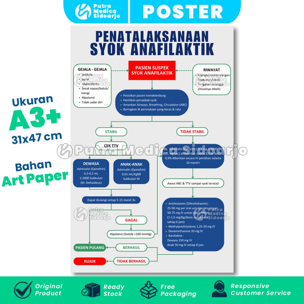 Poster Kesehatan Penatalaksanaan Syok Anafilaktik A3+ / Gambar Edukasi Penanganan Syok Alergi