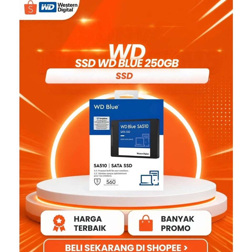 SATA SSD SATA 250GB WD BLUE Baru Penyimpanan Data 250GB