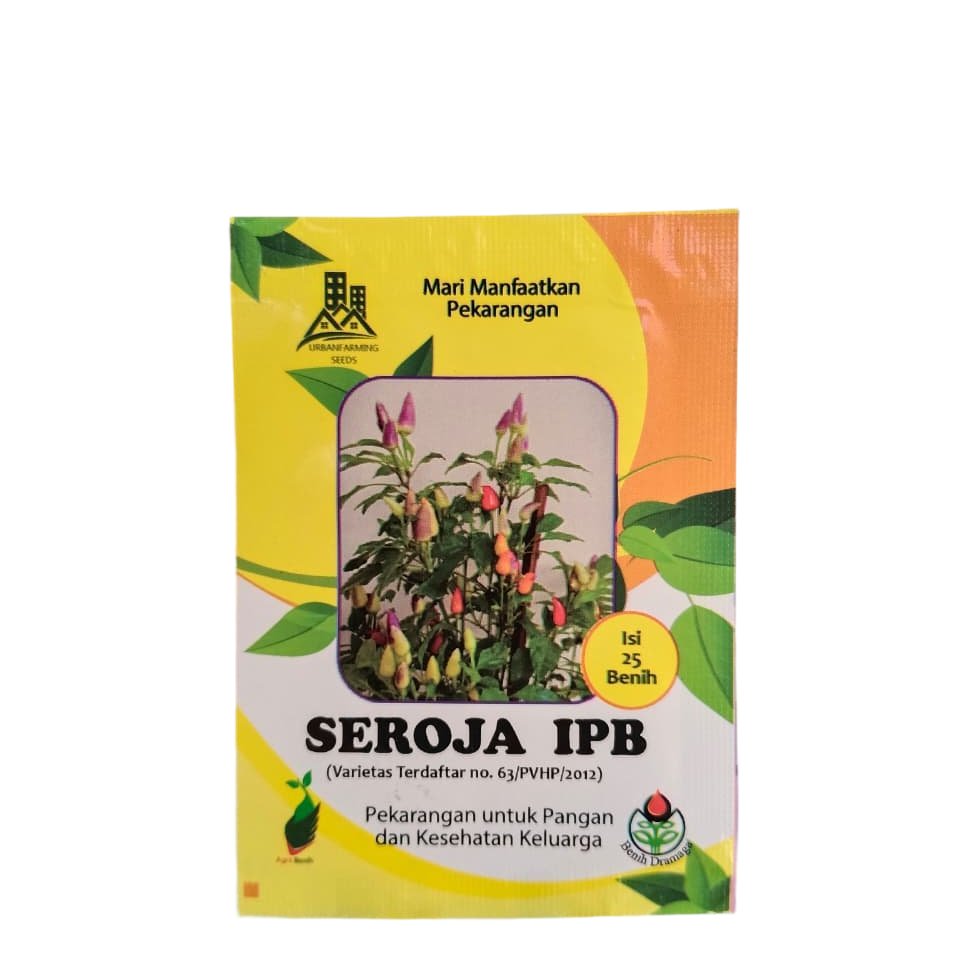 IPB - Benih Cabe Pelangi Seroja Isi 25 Biji - benih cabe rainbow - cabai pelangi - benih dramaga