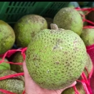 sukun cap gorengan