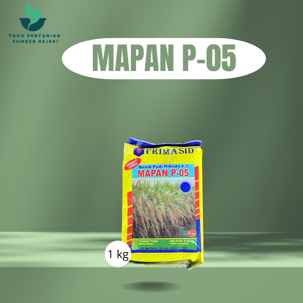 BENIH PADI MAPAN P-05 HIBRIDA BERKUALITAS