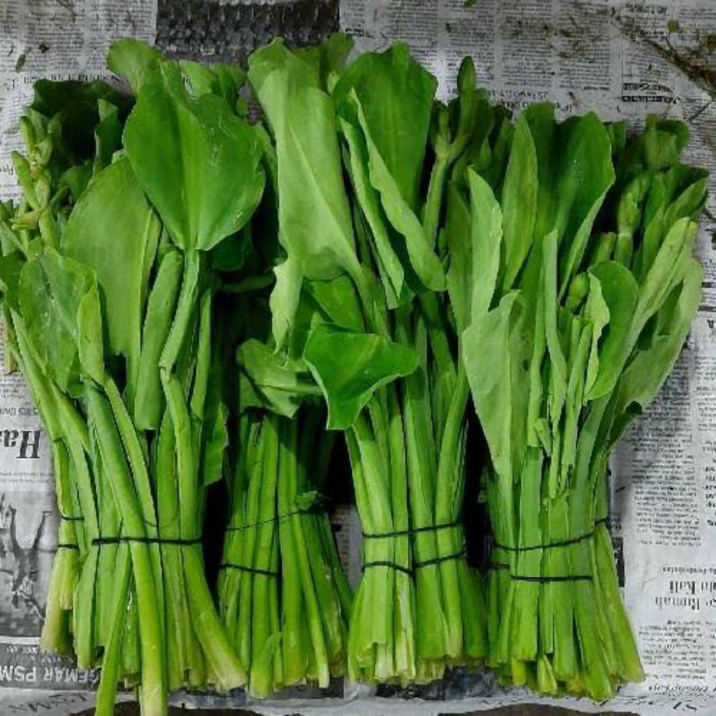 

Sayur Daun Genjer 2 ikat Fresh (Sayuran Segar)
