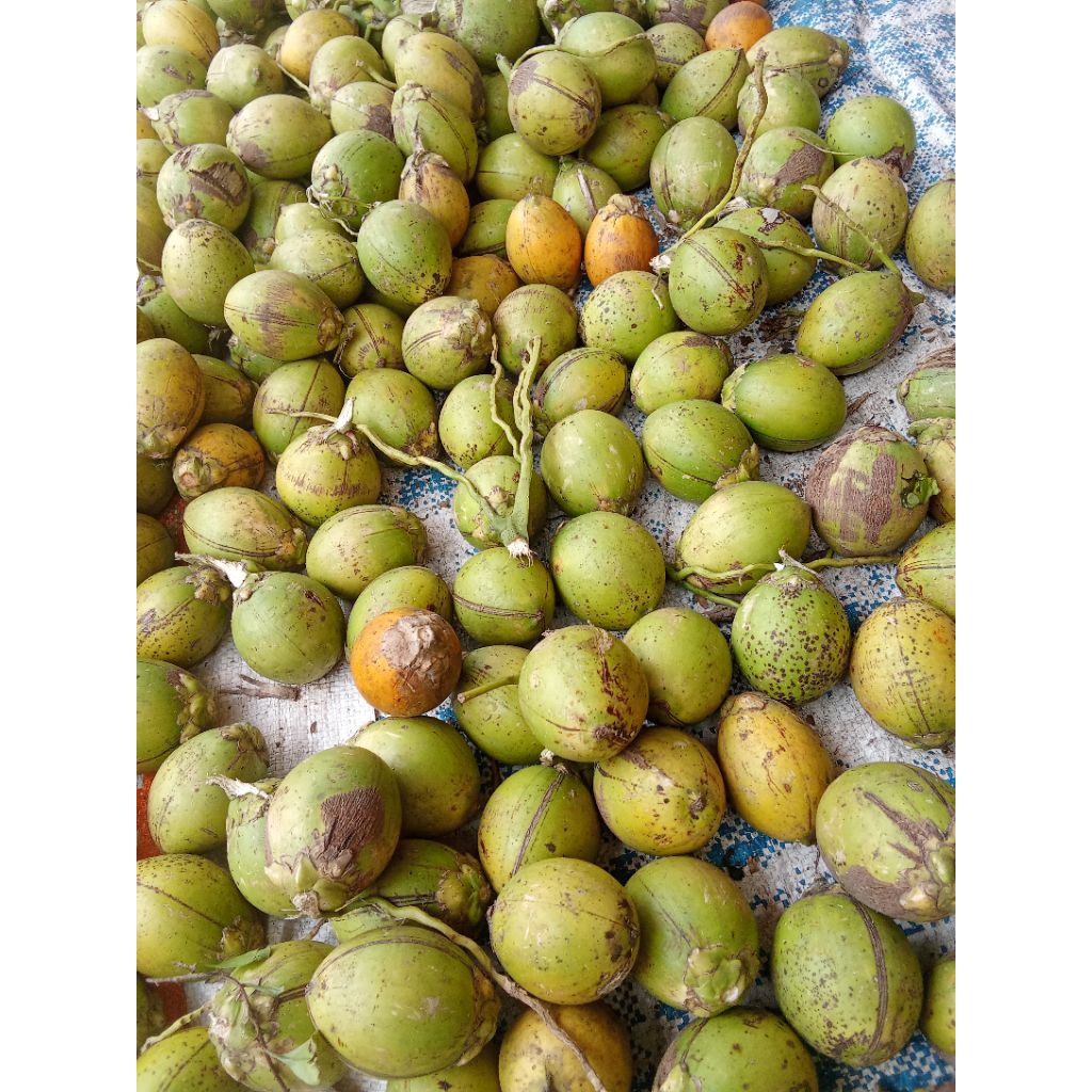 

pinang wangi cantik seger fresss per 1 pcs