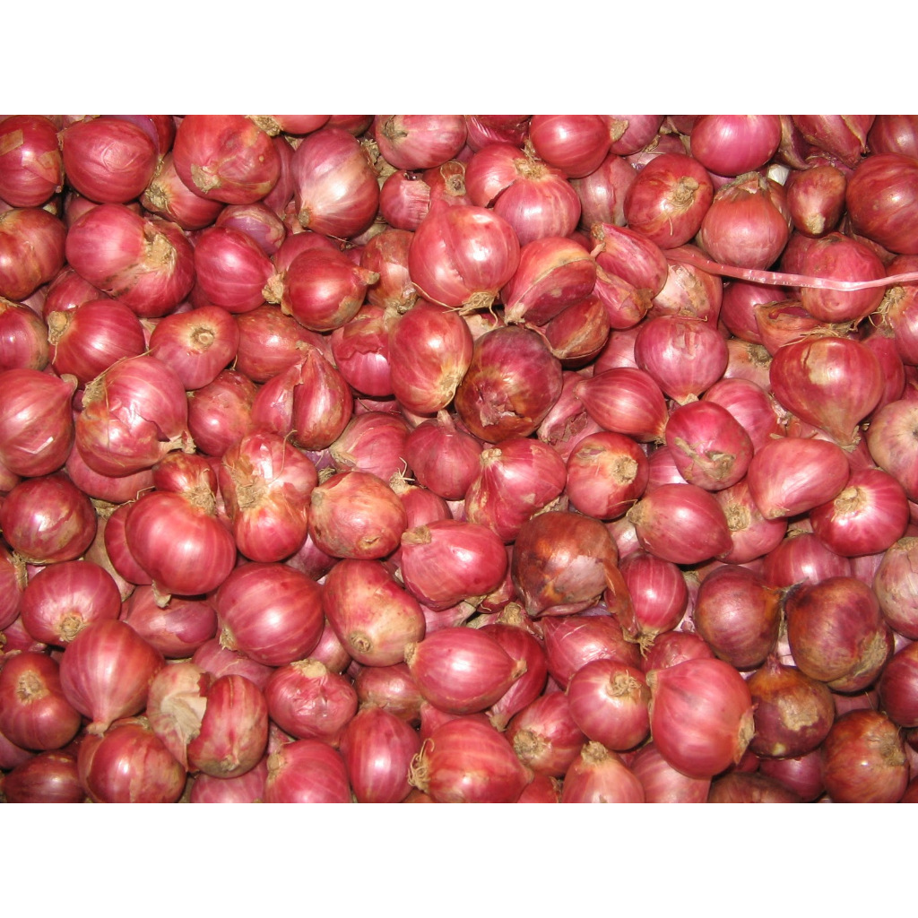 

Bawang Merah Fresh 1Kg super premium