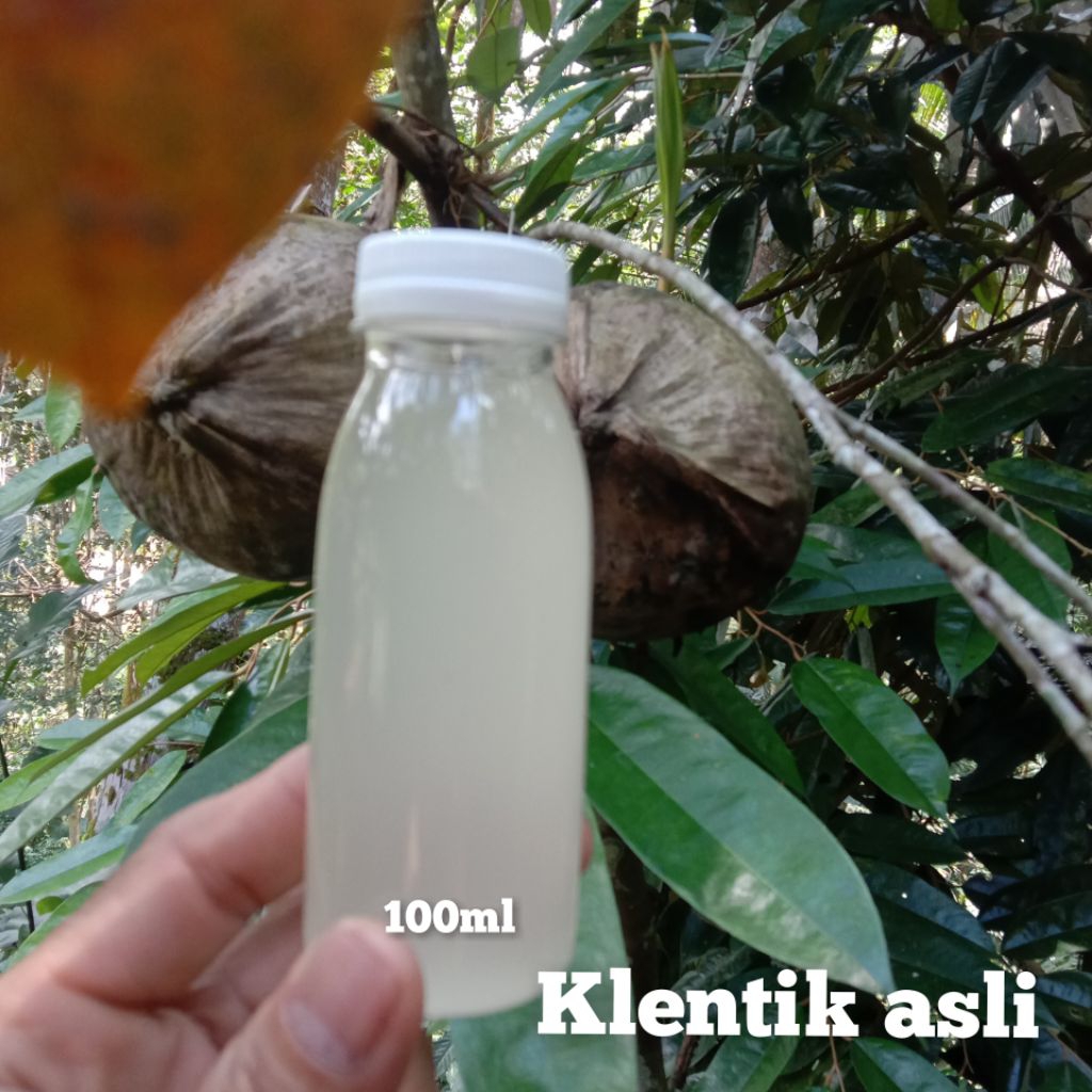 

minyak klentik asli/minyak tradisional non RBD