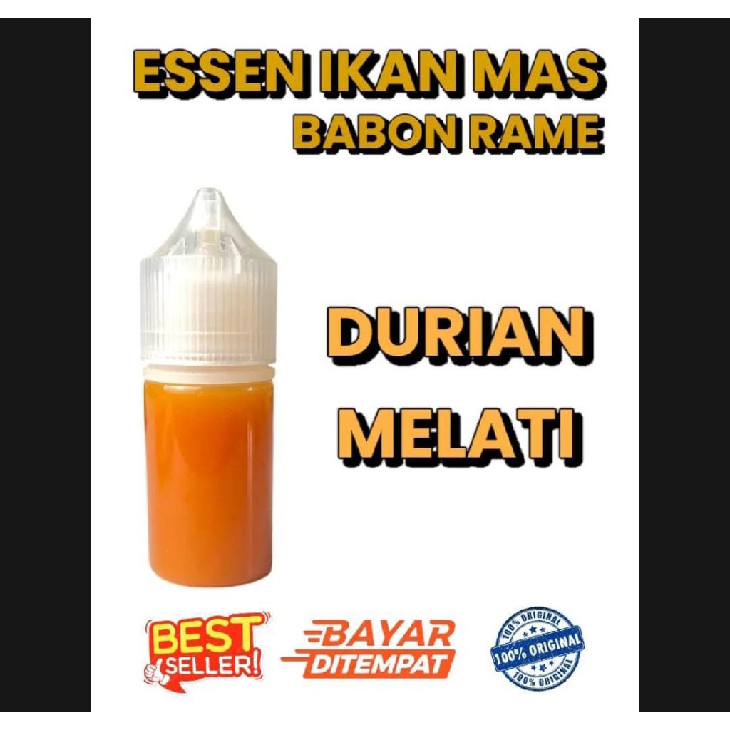essen ikan mas aroma durian melati
