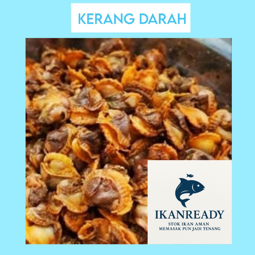 

Kerang Darah Segar Premium 1Kg - Langsung dari Nelayan - Fresh & Bersih Siap Masak | ikanready