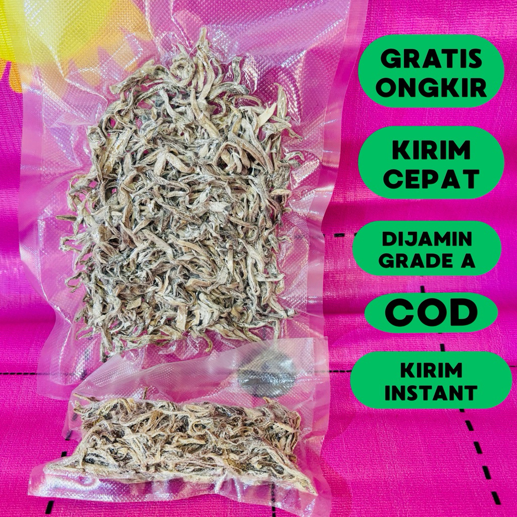 

Asam Mangga Asli / Asam Mangga Sulawesi / Paccukka / Pacukka