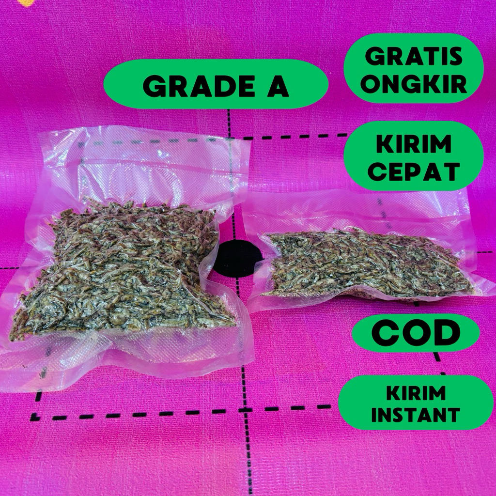 

IKAN PENJA SULAWESI / IKAN DUO / IKAN NIKE / IKAN ASIN / IKAN SERIBU / IKAN DUANG