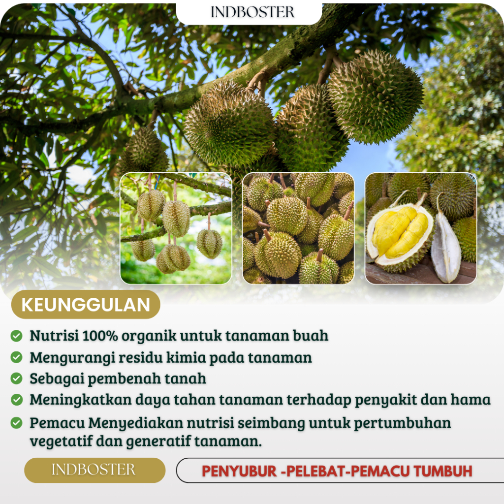 Alltechshop_ Pupuk Durian Supaya Cepat Berbuah / Pupuk Durian Supaya Subur Dan Berbuah / Pupuk