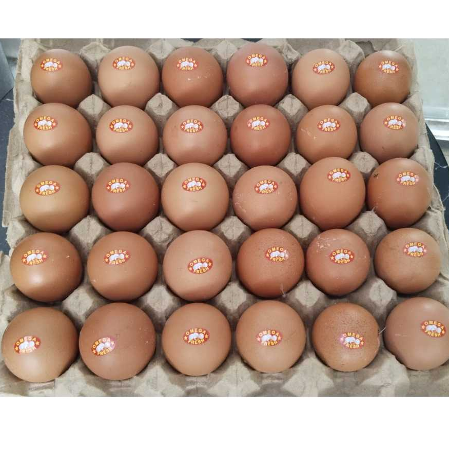 

TELUR OMEGA 3 (10KG) isi 15-16 butir