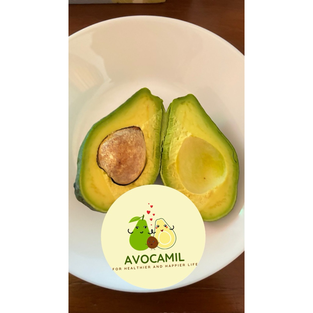 

Alpukat packing extra