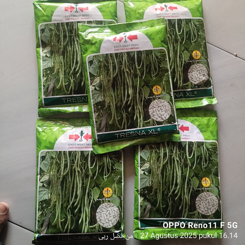 Benih Buncis TRESNA XL-East West Seed kemasan 500gr Tahan Virus.