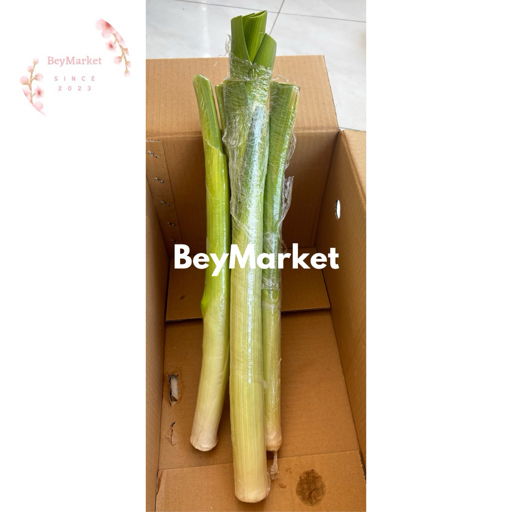

Leek Import Daun Bawang Import -+300g | Pcs