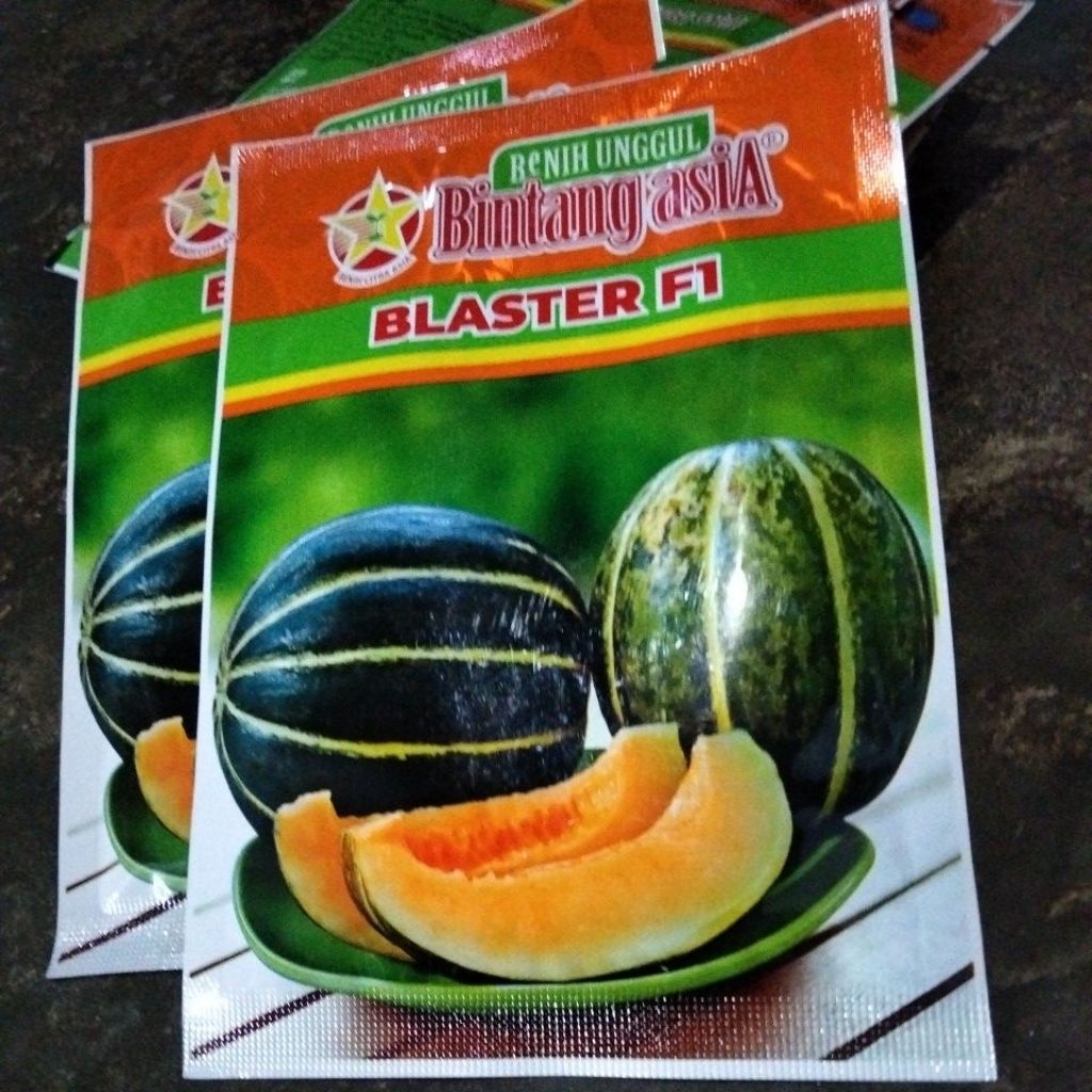 Benih Blewah BLASTER F1 (15 gr)