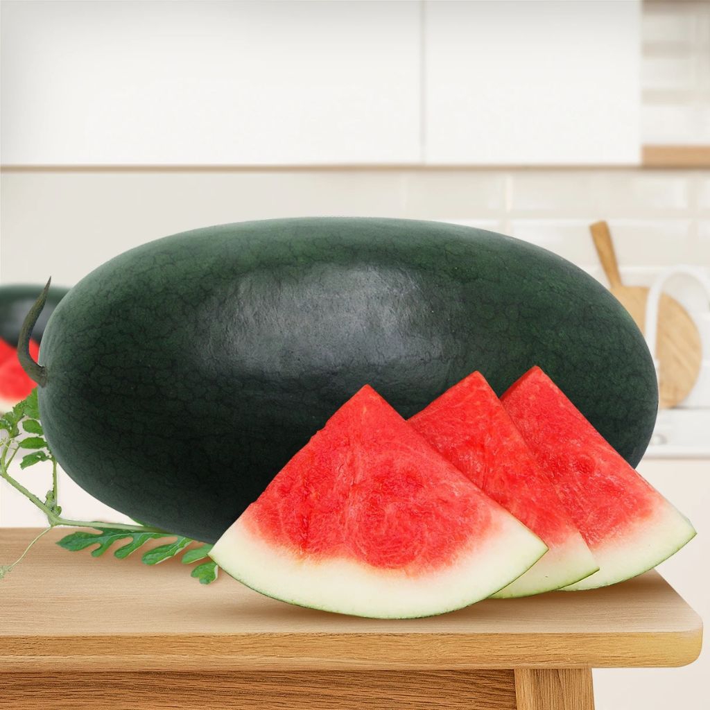 Benih semangka merah lonjong non biji (isi 45 butir)