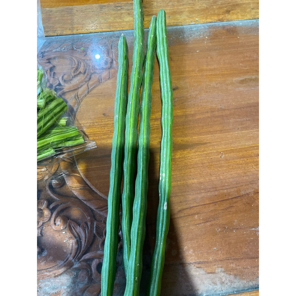 

BUAH KLENTANG - 500gr pohon kelor daun kelor