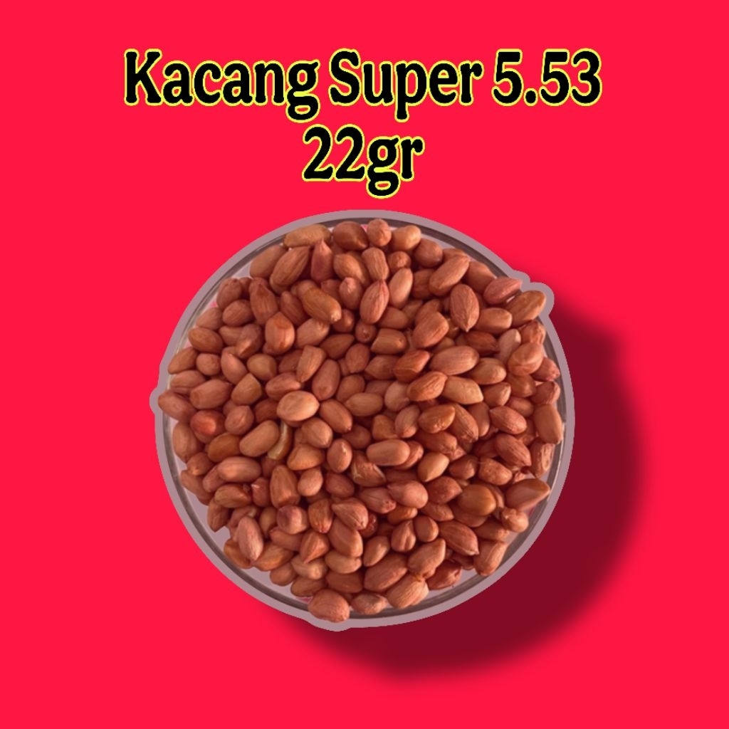 

kacang super 5.53 slvg 22gr 100pcs