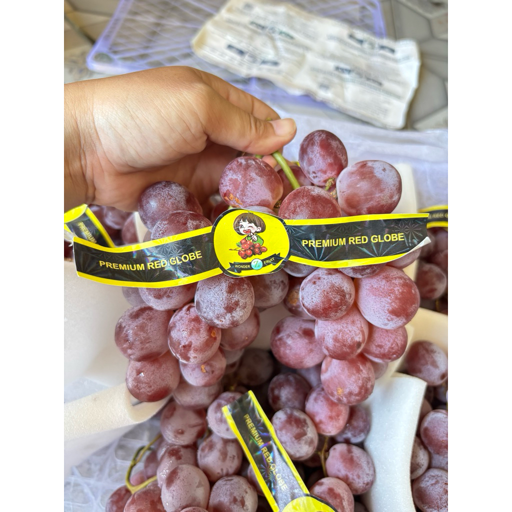 

Red Globe Kualitas Premium