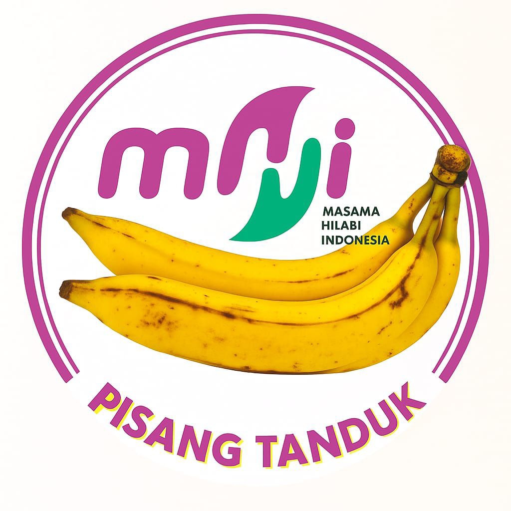 

Pisang Tanduk Super Manis asli Ciamis