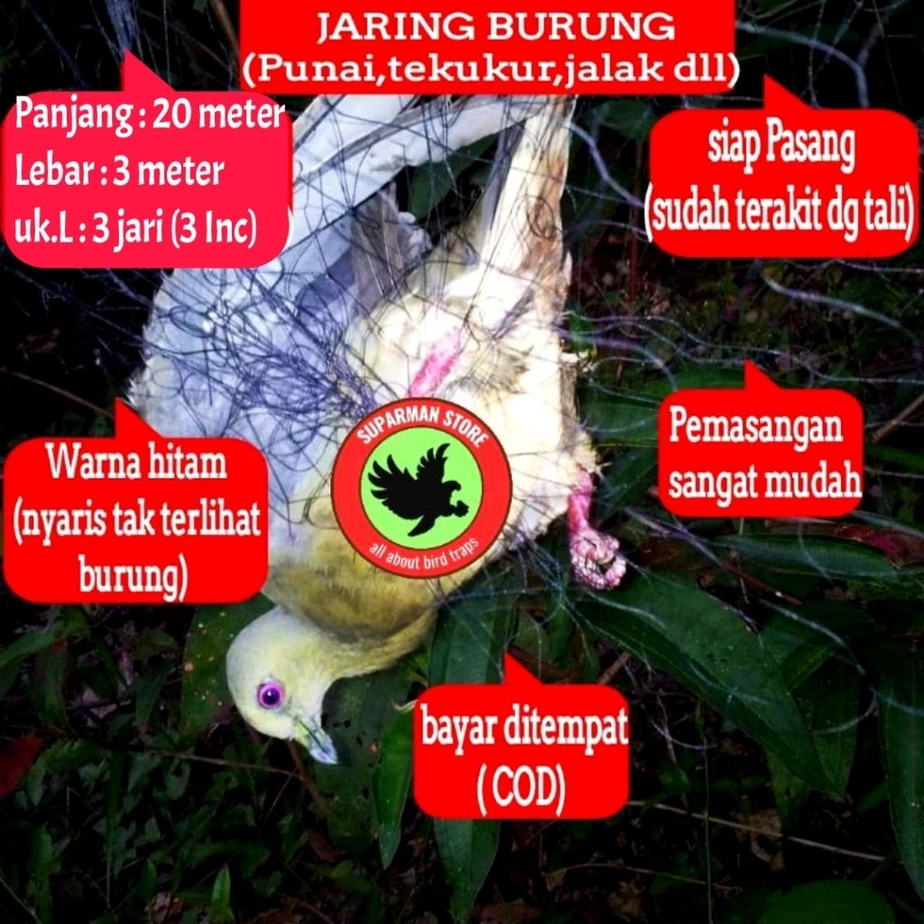JALA PUNAI JARING PUNAI PERANGKAP PUNAI JALA JARING PUNAI AMPUH JARINGAN PUNAI PIKAT BURUNG BESAR JE