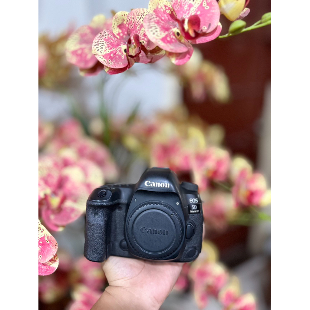 canon 5d mark 4 bukan canon 5d mark 3 bukan canon 5d mark 2