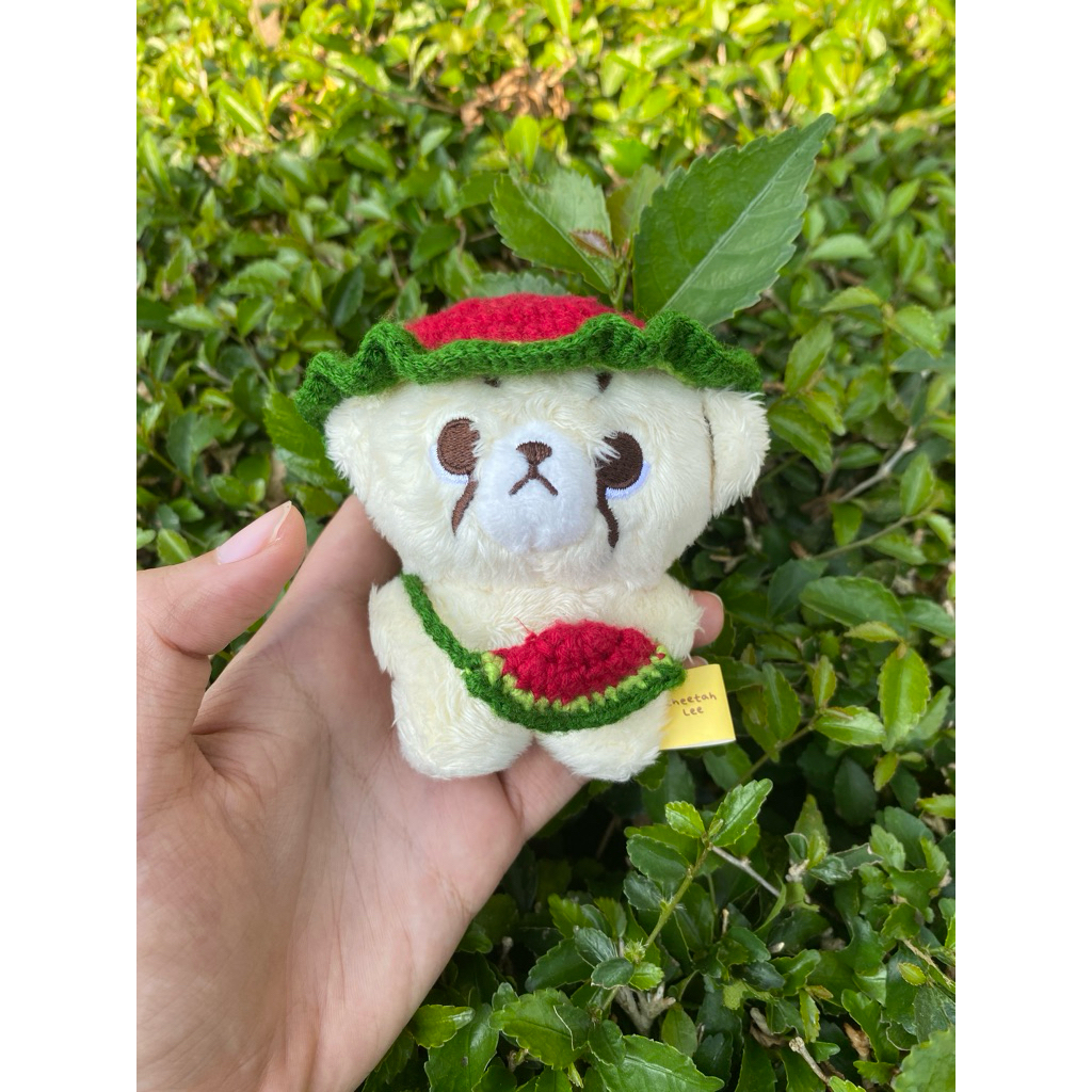 Mini watermelon bucket hat for cheetah lee 10 cm