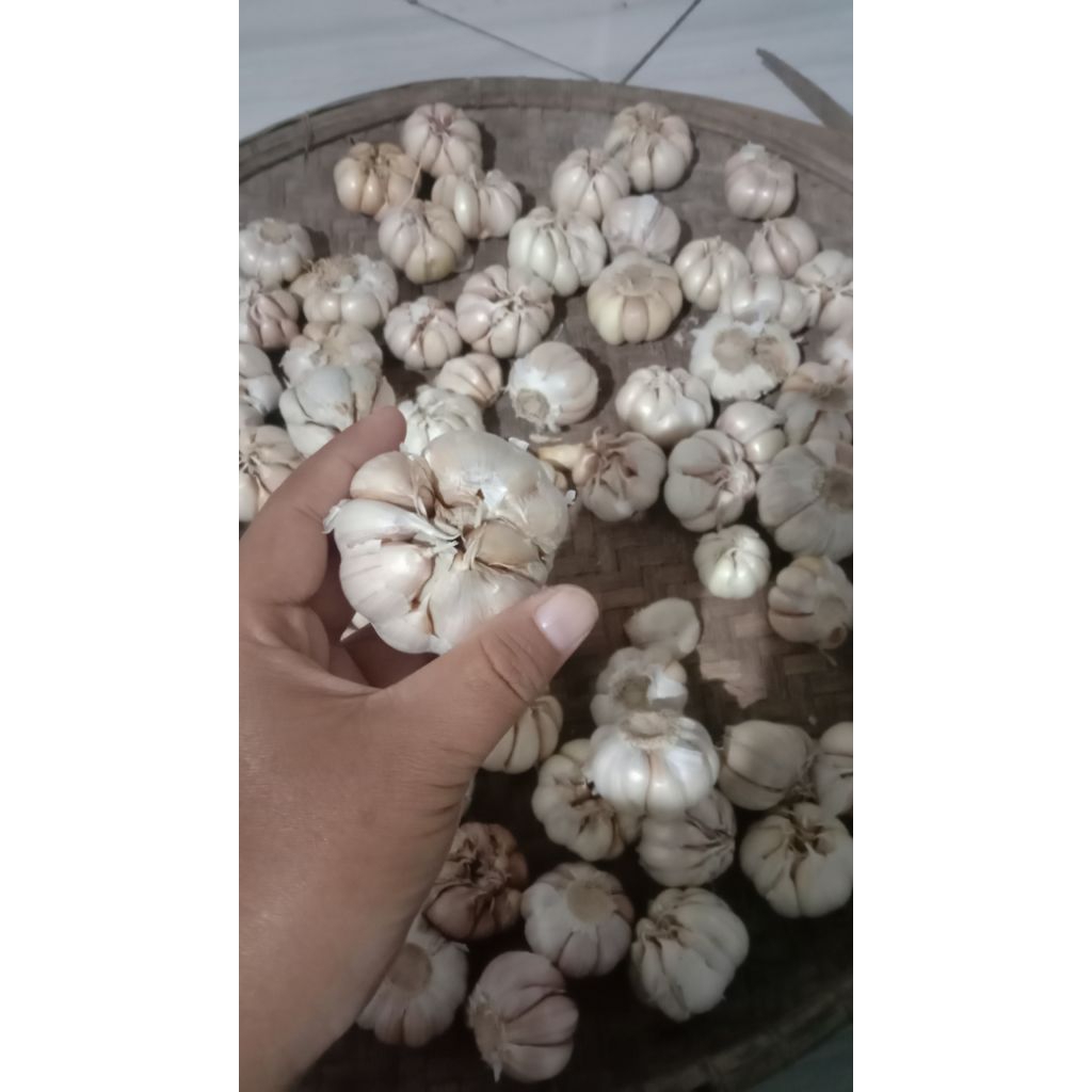 

bawang putih RRC 250gr