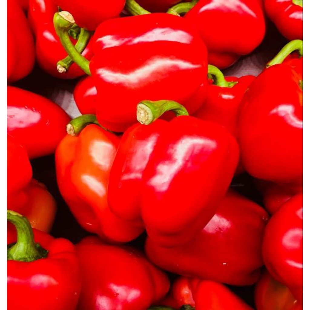 

Paprika Merah Segar - 1 pcs